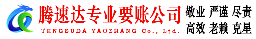 新干要账公司